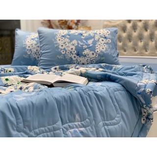 Bộ 5 chăn drap/ga áo gối thun siêu lạnh ý 5d cao cấp
