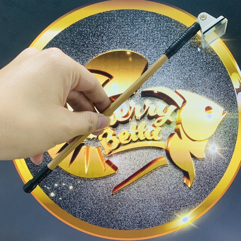 Kính kè cá Betta - Huấn luyện Betta sung hơn