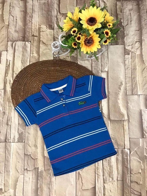 Áo phông Lacoste bé trai