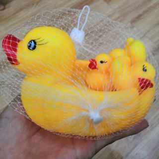 Đàn vịt 4 con bóp kêu