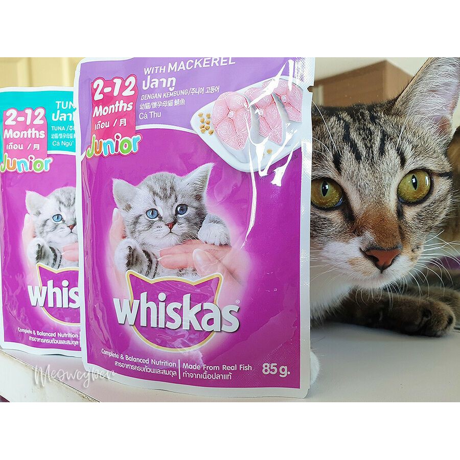 [85g] Pate Cho Mèo Con Whiskas Vị Cá Ngừ 85g - Lida Pet Shop