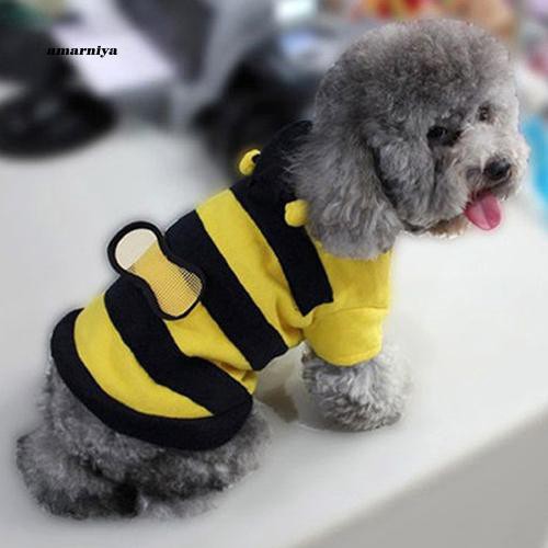 Áo khoác hoodie họa tiết con ong đáng yêu cho thú cưng