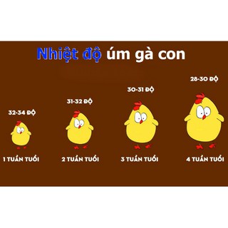 Bóng úm Không ánh Sáng