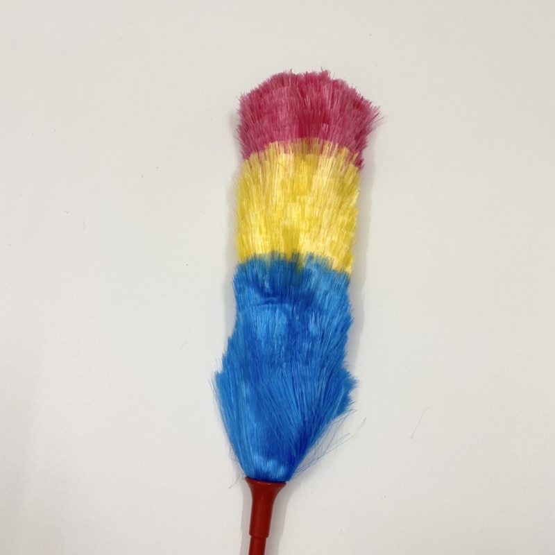 Chổi Quét Bụi Nylon Mềm