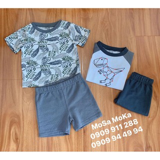Set 2 bộ thun Dino Chick Pea