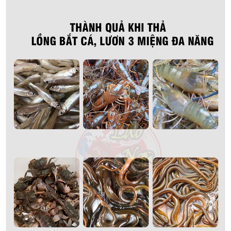 Lồng Bẫy Lươn 3 Cửa - Bắt Tôm Cua Cá Lươn Phiên Bản 2023 + Tặng Mồi