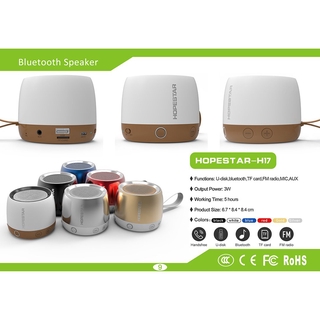 Loa bluetooth cao cấp HopeStar H17