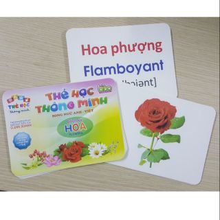 Thẻ học thông minh 12 - 14 chủ đề song ngữ Anh Việt