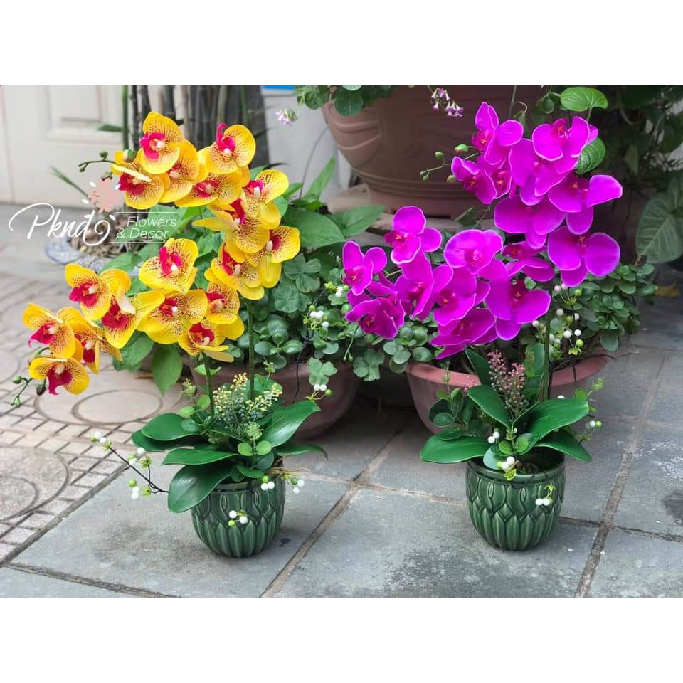 Chậu hoa lan hồ điệp giả trang trí phòng khách đẹp PKND FLOWERS & DECOR CH08