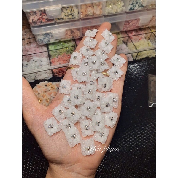 Hoa bột nail- Hoa chân vuông hot hit gắn móng xinh