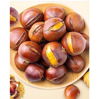 Hạt dẻ Nhật hấp Nhật
