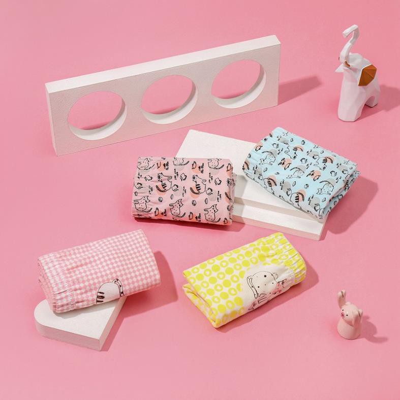 Combo Hộp 4 quần lót dạng đùi vải cotton Hàn Quốc cho bé gái mẫu Con Mèo-Máy Bay