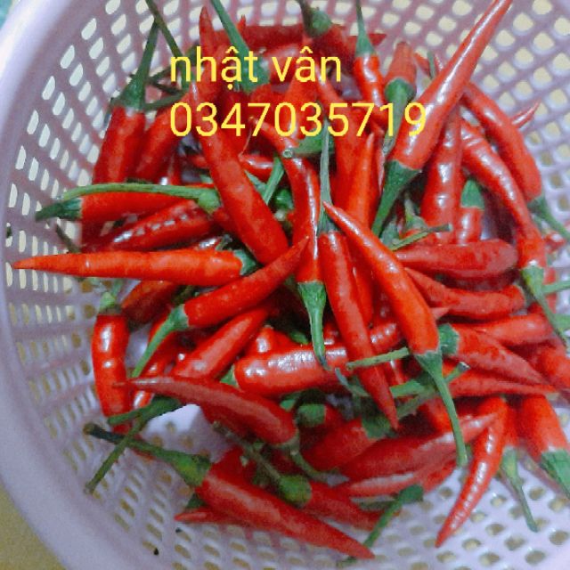 Sate thơm ngon dùng cùng bánh tráng phơi sương Củ Chi