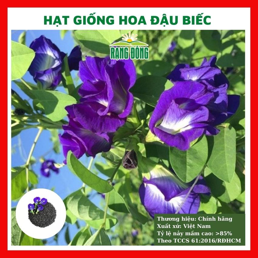 Hạt giống hoa đậu biếc leo cánh kép và cánh đơn nảy mầm cực nhanh gói 2gr RADO 861