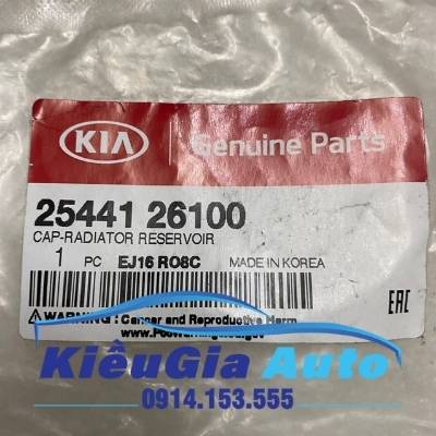 Nắp bình nước phụ Hyundai Getz