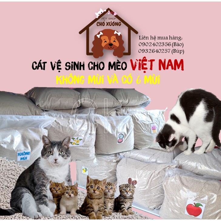 Cát vệ sinh cho mèo 5l IPET có mùi và không mùi khử mùi nhẹ vón nhanh ít bụi