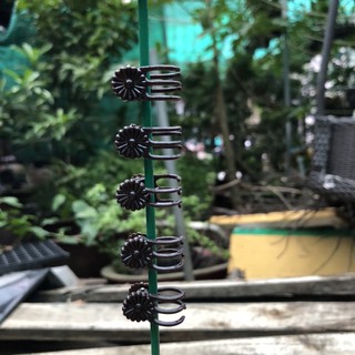 10 kẹp bướm cố định hoa lan