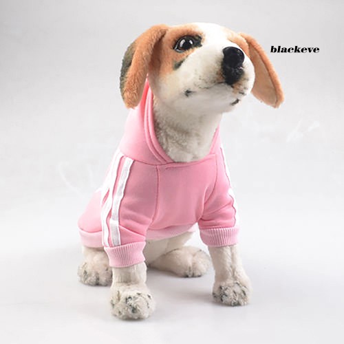 Áo khoác cotton ấm áp cho thú cưng - ảnh sản phẩm 8