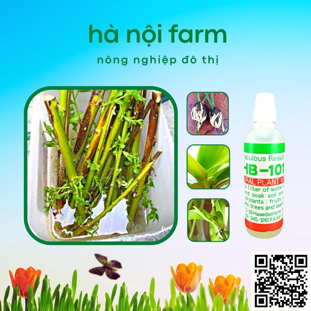 Thuốc kích rễ HB-101 Nhật bản Flora Plant Vitalizer 6ml - Tăng trưởng mạnh