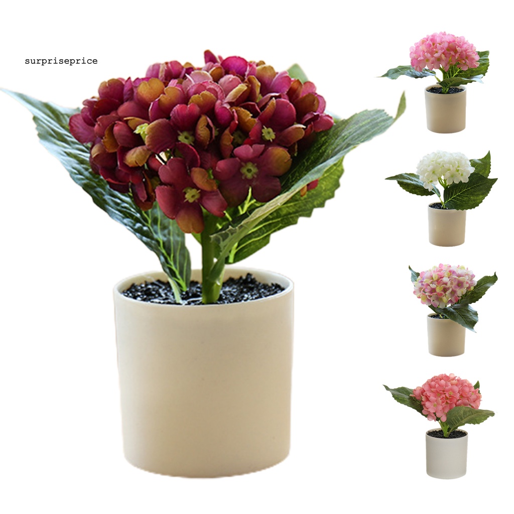 Chậu Cây Bonsai Nhân Tạo Chống Mòn Tiết Kiệm Không Gian Cho Khách Sạn / Bàn Làm Việc