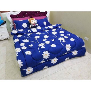 Set chăn phao, ga, gối poly