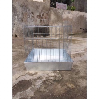 Lồng ghép 60 vuông gà chọi gà tre gà đòn