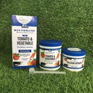 Dinh dưỡng Thủy Canh MasterBlend chính hãng
