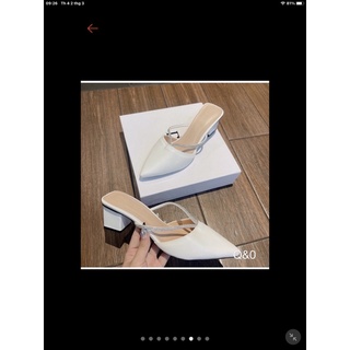 sục nử bigsize 33-43