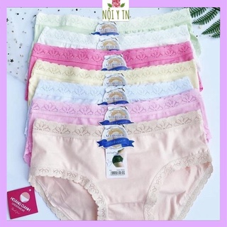 Quần lót thái lan, quần chip cotton viền ren cho nữ - 819