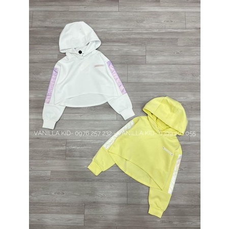 Áo hoodie croptop BG dư xịn