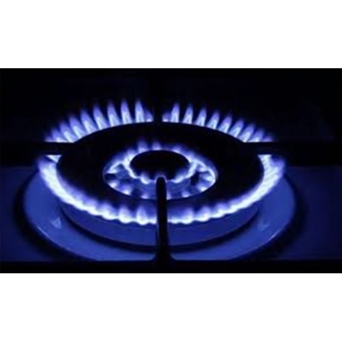 {HÀNG CHÍNH HÃNG - NEW 100% } Bếp gas dương Rinnai RJ-9600S - Xuất xứ Nhật Bản | BigBuy360 - bigbuy360.vn