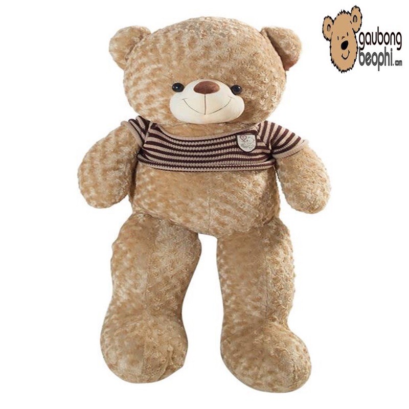 Gấu bông Teddy size đại 1m8, Teddy khổng lồ, Teddy mặc áo