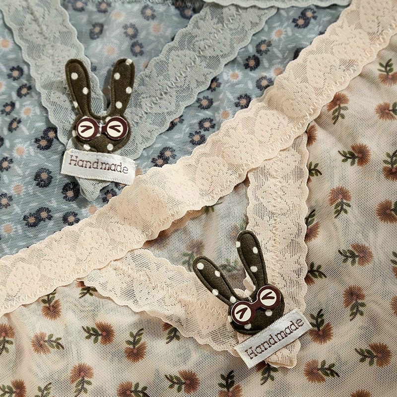 Quần lót nữ ren lưới cao cấp xuyên thấu sexy quyến rũ