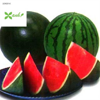 Hạt Giống Dưa Hấu Không Hạt - 10 Hạt