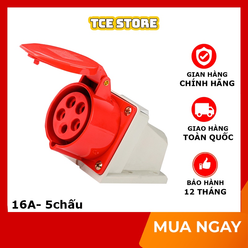 Ổ cắm công nghiệp 3 pha 16A 5 chấu ổ cắm cố định gắn nổi chống giật chống cháy nổ TCE STORE