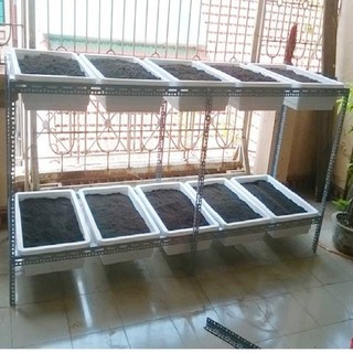 Kệ Trồng Rau Sạch - Kệ sắt 10 Khay (Chưa gồm khay)