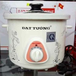 Nồi nấu cháo chậm Đạt Tường