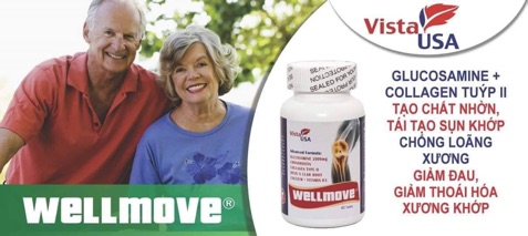 Viên bổ khớp Wellmove