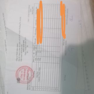 Viên uống bổ mắt Max eye gold
