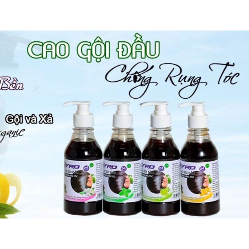 Cao Gội & Xả Bồ Kết Ngăn Rụng Tóc HYRO 2in1 Chai 300ml