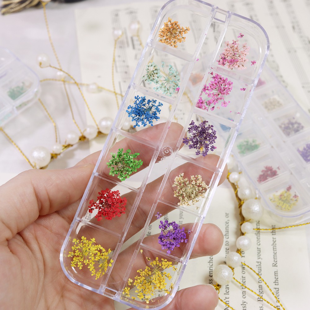 Hoa khô nail trang trí móng cánh nhỏ 12 màu