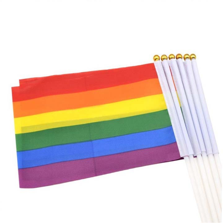 Cờ LGBT Lục Sắc Cầm Tay NoBrand