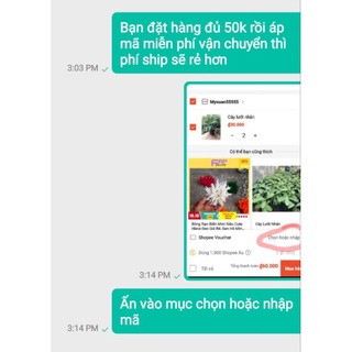 củ ráy voi