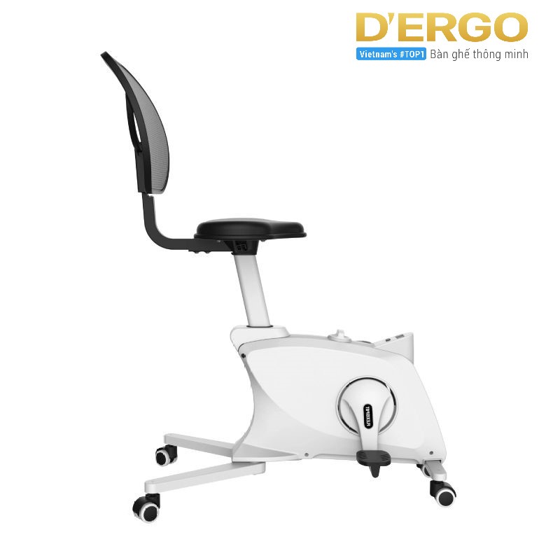 Ghế Làm Việc Đạp Xe Fitness Ergonomic Chair - Flexispot FC211