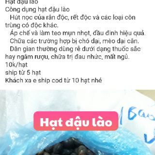 Hạt đậu lào ( hạt trị chó dại cắn) 10k/hạt