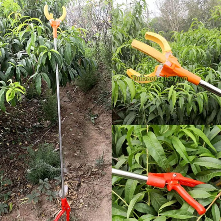 Dụng cụ hái trái cây trên cao dài 2m hàng Đài Loan - D108