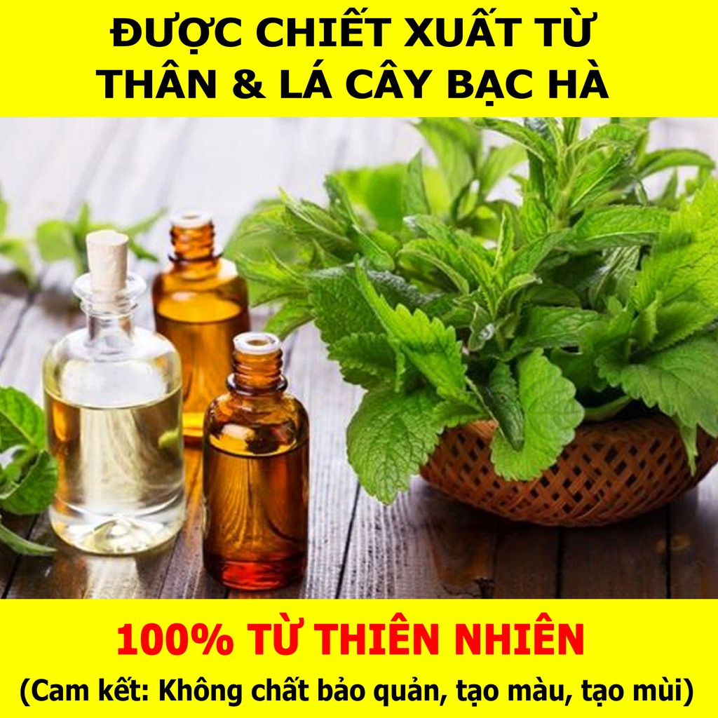 [COMBO 2 LỌ 10ML] Tinh Dầu Bạc Hà VIDAME - Hương bạc hà thơm mát, xông phòng, khử mùi