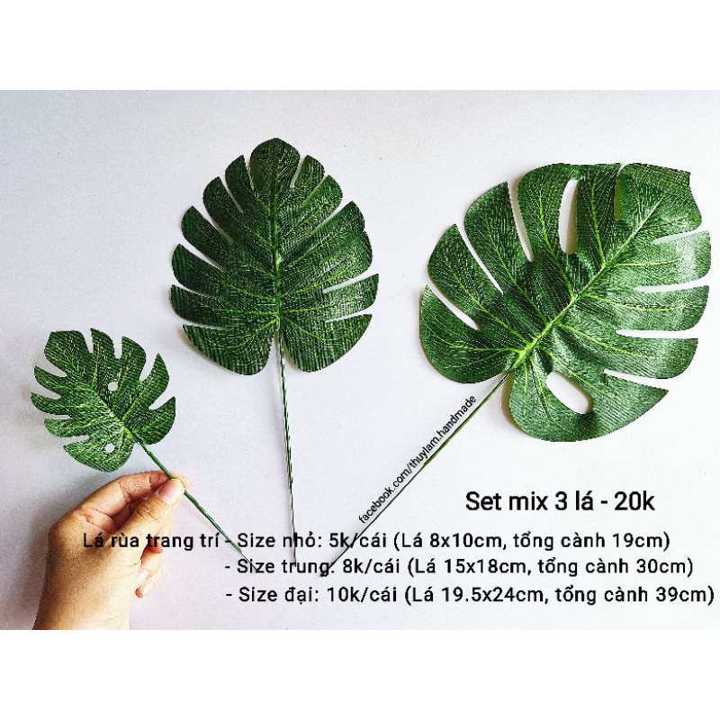Lá rùa trang trí chụp ảnh, cắm hoa (Loại dày đẹp)
