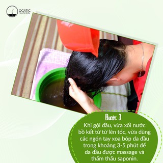 Lá Thơm Gội Đầu Ogatic