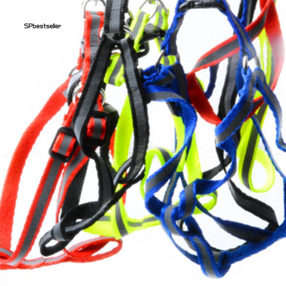 Dây đeo dắt thú cưng đi dạo thoải mái